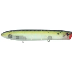 Berkley Cane Walker Saltwater