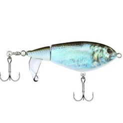 Berkley Choppo
