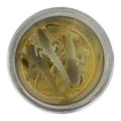 Berkley Gulp! Alive!® Stonefly