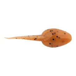 Berkley Gulp! Alive!® Tadpole
