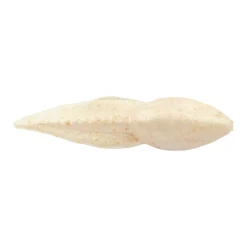 Berkley Gulp! Alive!® Tadpole