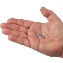 Berkley Gulp!® Minnow