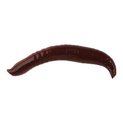 Berkley Gulp!® Pinched Crawler