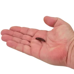 Berkley Gulp!® Pinched Crawler