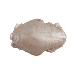 Berkley Gulp!® Saltwater Sand Crab Flea