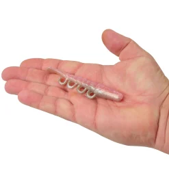 Berkley Gulp!® Saltwater Turbo Shrimp