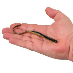 Berkley Gulp!® SR Crawler