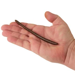 Berkley PowerBait® Bottom Hopper