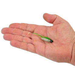 Berkley PowerBait® Drip Swimmer