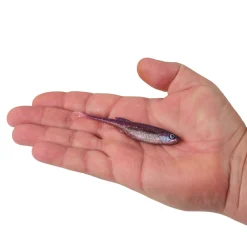 Berkley PowerBait® Drip Swimmer