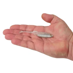 Berkley PowerBait® Drip Swimmer