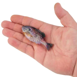 Berkley PowerBait® Gilly