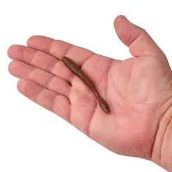 Berkley PowerBait® MaxScent Flat Worm