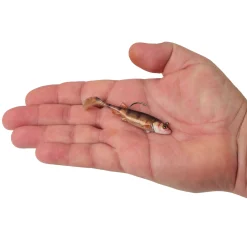 Berkley PowerBait® Minnotator