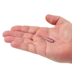 Berkley PowerBait® Minnow