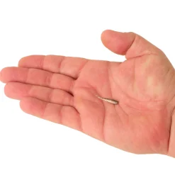 Berkley PowerBait® Minnow