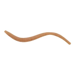 Berkley PowerBait® Power® Floating Trout Worm
