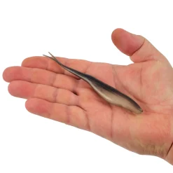 Berkley PowerBait® Power® Jerk Shad