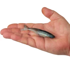 Berkley PowerBait® PowerStinger