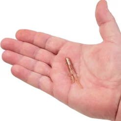 Berkley PowerBait® Pre-Rigged Atomic Teasers