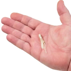 Berkley PowerBait® Pre-Rigged Atomic Teasers