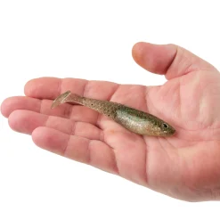 Berkley PowerBait® Saltwater CullShad