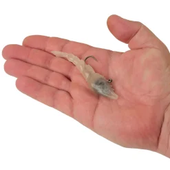 Berkley PowerBait® Saltwater Power Switch Shrimp