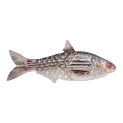 Berkley PowerBait® Saltwater Gillydine