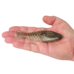 Berkley PowerBait® Saltwater Gillydine