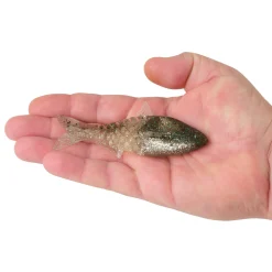 Berkley PowerBait® Saltwater Gillydine