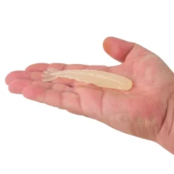 Berkley PowerBait® Saltwater Bonga Shrimp