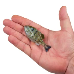 Berkley PowerBait® Saltwater Gilly