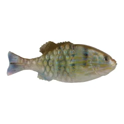 Berkley PowerBait® Saltwater Gilly