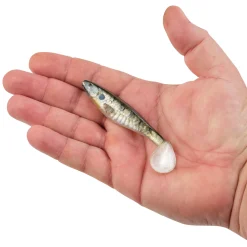 Berkley PowerBait® The Champ Swimmer