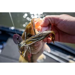 Berkley PowerBait® The Deal