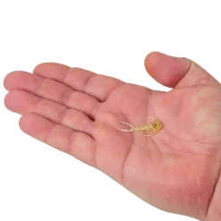 Berkley PowerBait® Trilobite