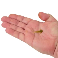 Berkley PowerBait® Trilobite