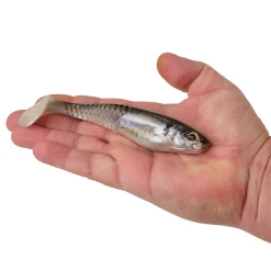 Berkley PowerBait® Unrigged CullShad