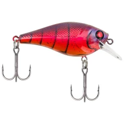 Berkley SquareBull