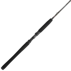 PENN Carnage™ III Inshore Casting