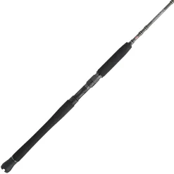 PENN Carnage™ III Inshore Casting