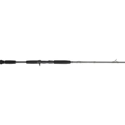 PENN Carnage™ III Inshore Casting