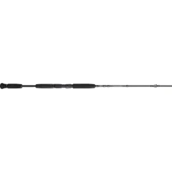 PENN Carnage™ III Inshore Casting