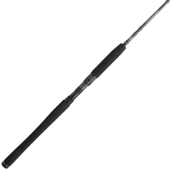 PENN Carnage™ III Inshore Casting