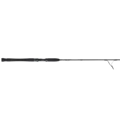 PENN Carnage™ III Inshore Spinning