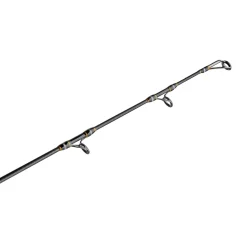 PENN Carnage™ III Inshore Spinning