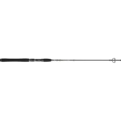 PENN Carnage™ III Inshore Spinning