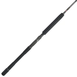 PENN Carnage™ III Jig Conventional