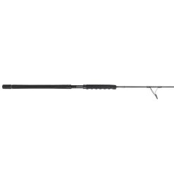 PENN Carnage™ III Jig Spinning