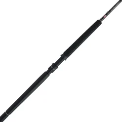 PENN Carnage™ III Offshore Conventional